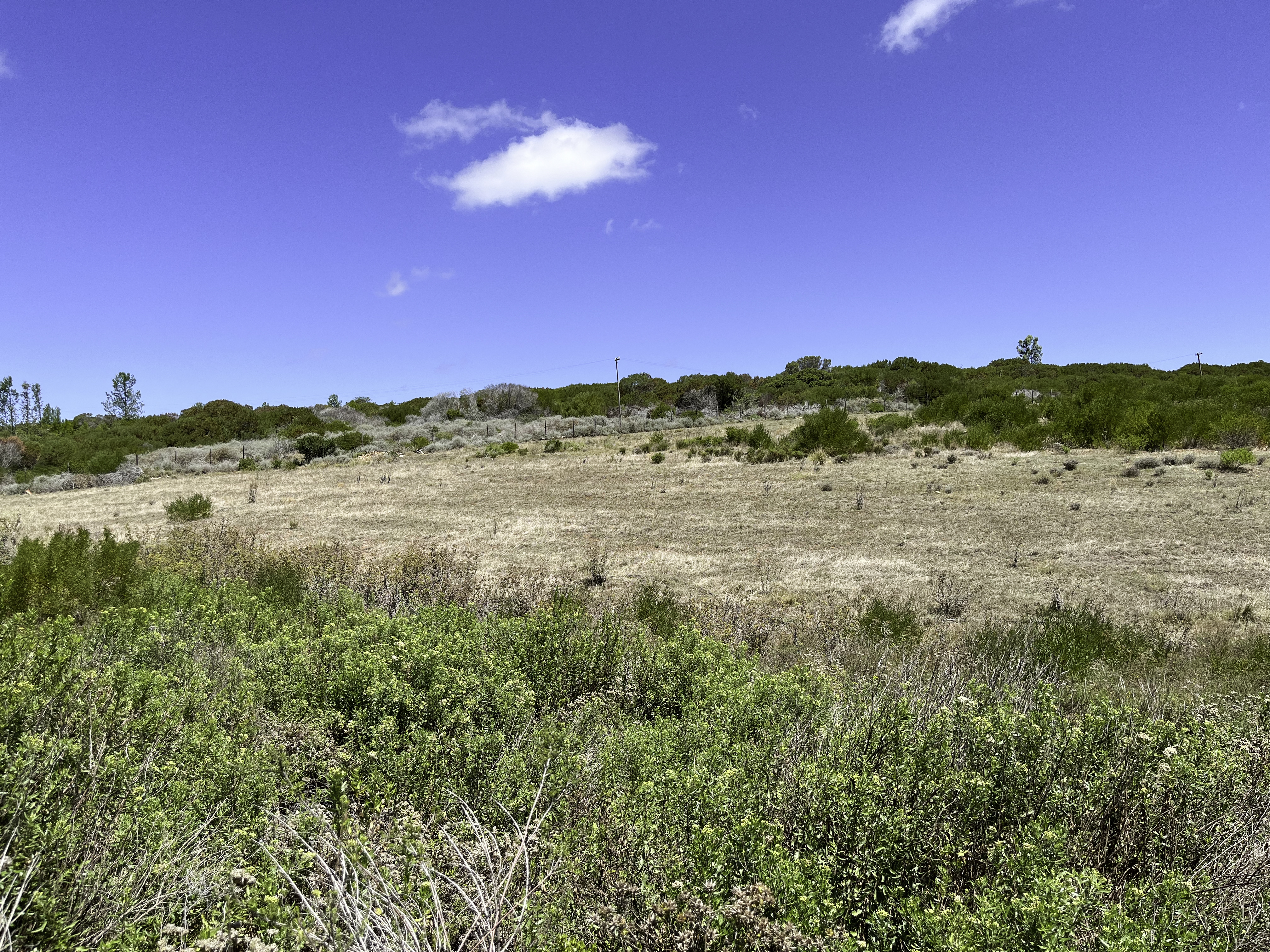 2 Bedroom Property for Sale in Stilbaai Rural Western Cape